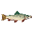 RawTrout.png