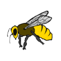 Thumbnail for version as of 18:39, 7 March 2024